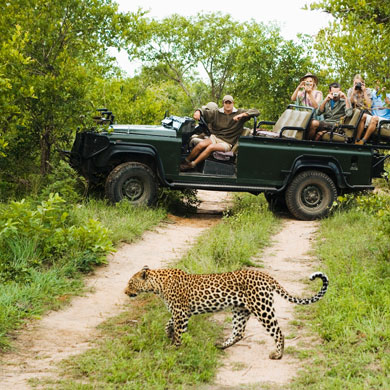 Parco Kruger Sudafrica